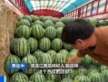 热点吃瓜,吃瓜群众如何解读明星事件